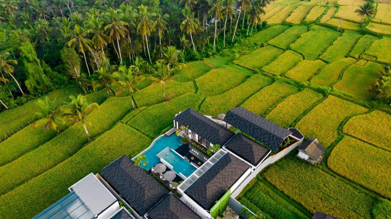 Villa Mia By Balisuperhost Ubud Esterno foto